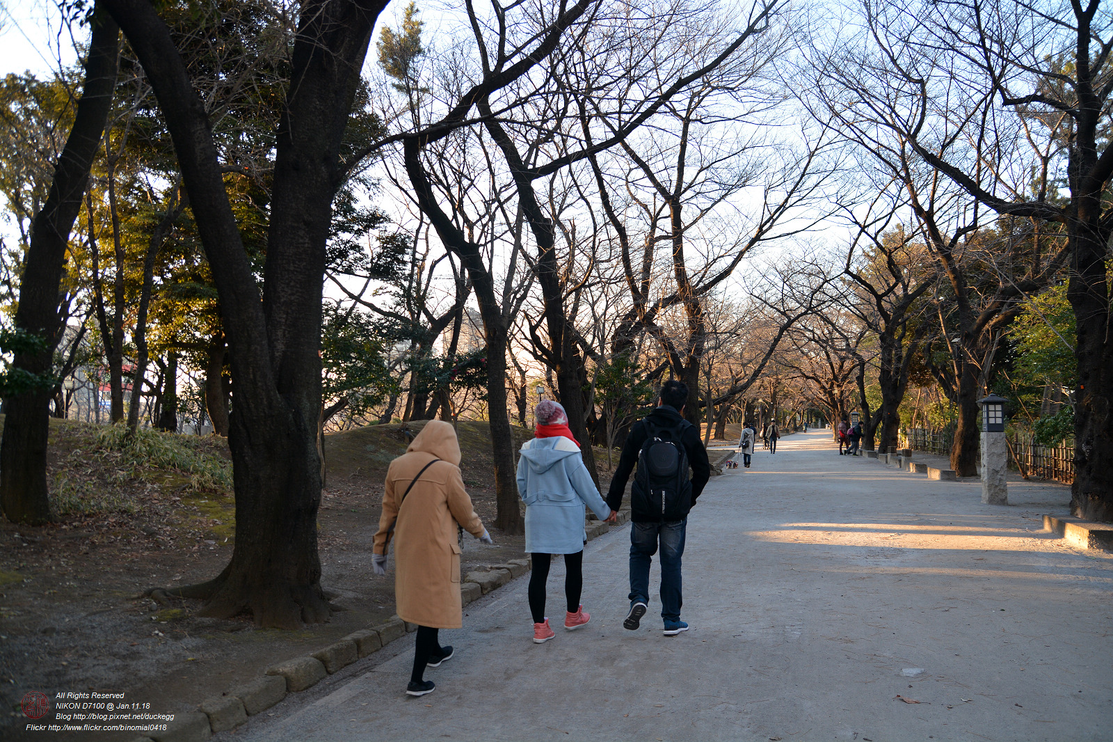20180111145101_NIKON D7100.jpg